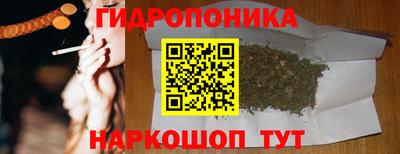 гидра Гусь-Хрустальный