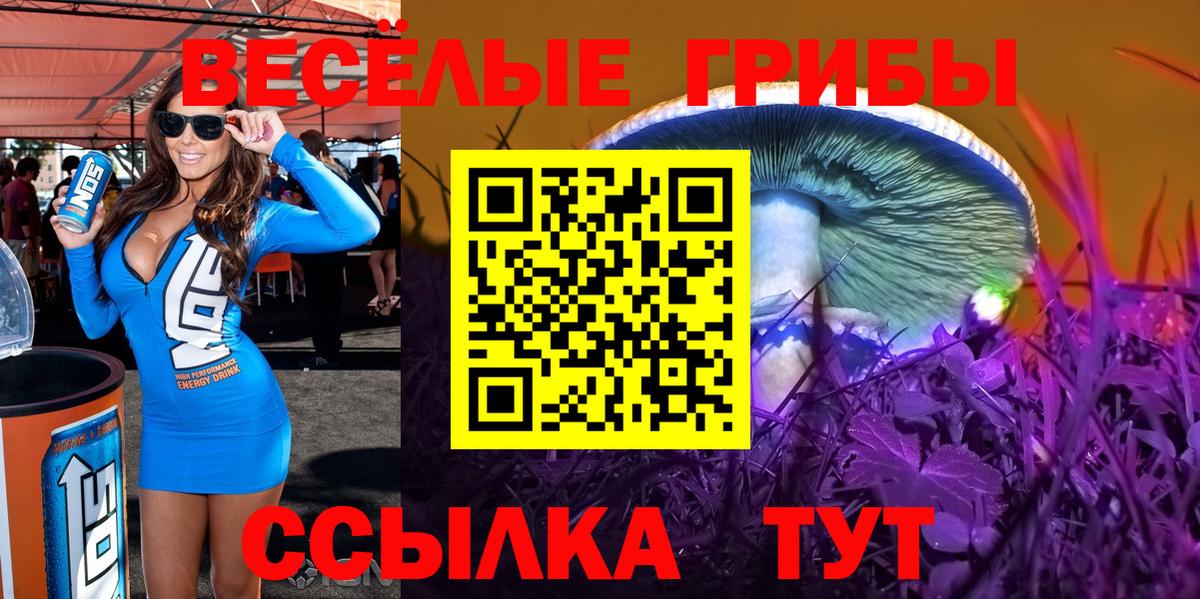 Галлюциногенные грибы ЛСД  Псилоцибиновые грибы мухоморы  Вход с VPN  Михайловск 