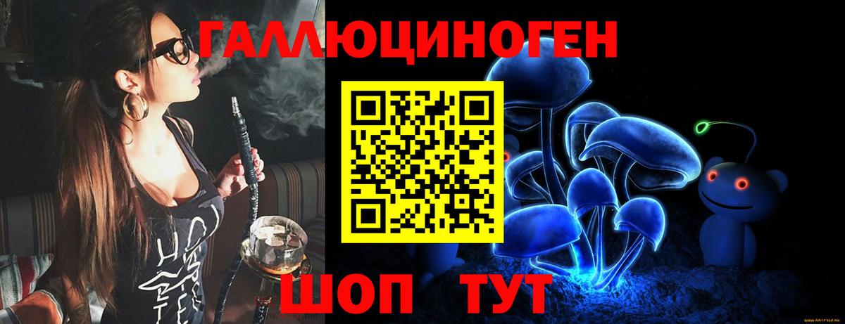 Псилоцибиновые грибы Psilocybe Михайловск