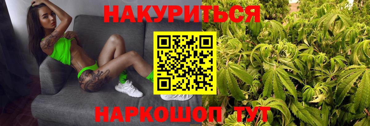Каннабис семена Михайловск